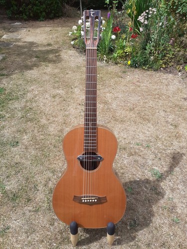 Tanglewood twjp java - twjp,