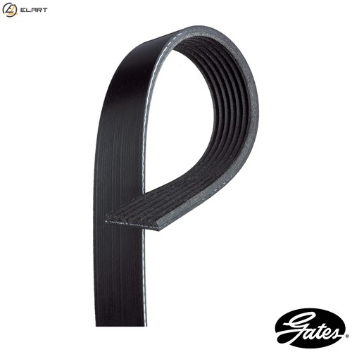 Vribbed belt 7pk1818 for land - vribbed,