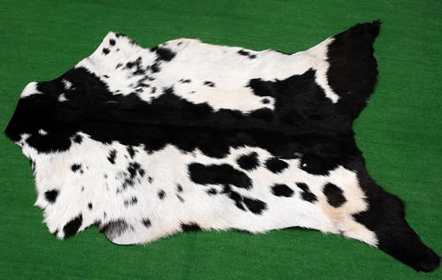 Luxury goat hide - goat, hair