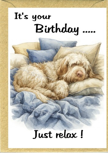 Italian spinone dog - italian, 6")