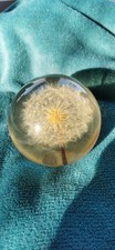 HAFOD GRANGE - Large DANDELION