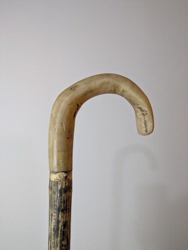 Shepherds crook rams horn - shepherds,