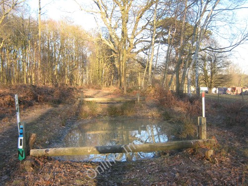 Photo 6x4 cross country horse - country,