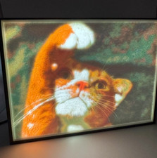 Custom Colour Lithophane Photo