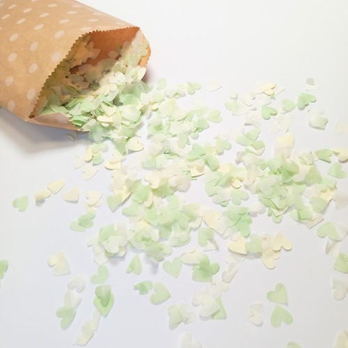 Biodegradable wedding confetti - biodegradable,