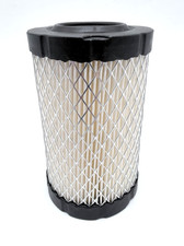 Briggs & Stratton Air Filter