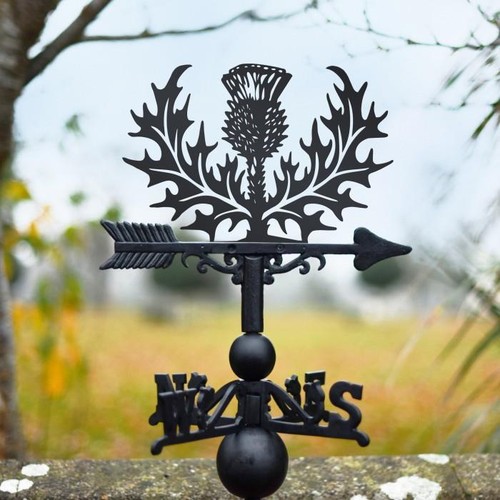 Scottish thistle weathervane - thistle,