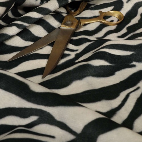 Animal pattern zebra - animal, tiger
