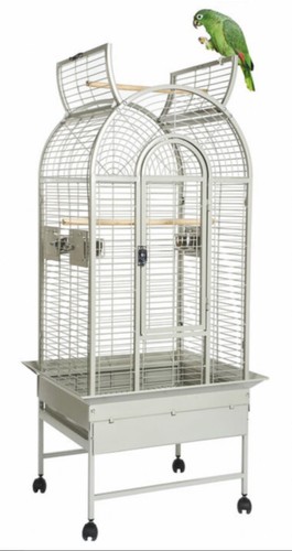Parrot supplies california - parrot-supplies, top
