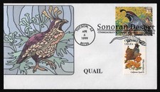 3293d 33c gambel quail combo - 33c,