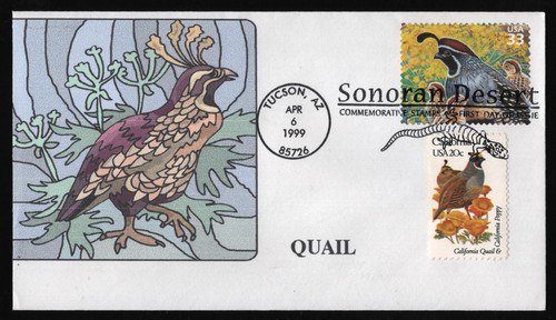 3293d 33c gambel - #3293d, quail-combo