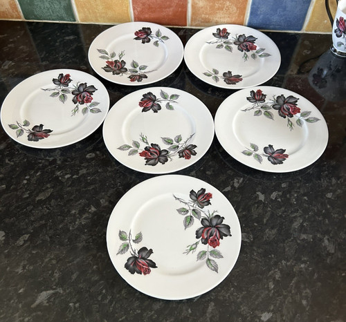 Bone china royal - bone, 6