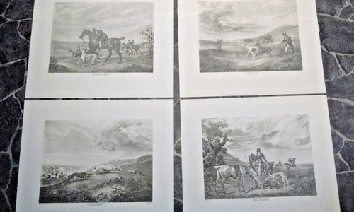 Coursing set 4 - coursing,,