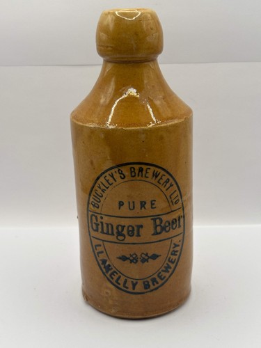 Old stoneware ginger - , beer