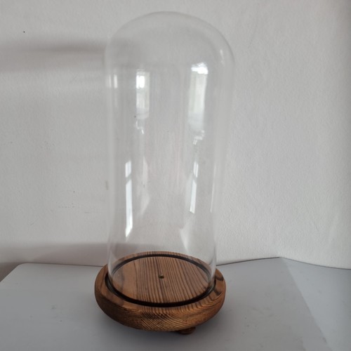 Glass dome display - glass, wooden