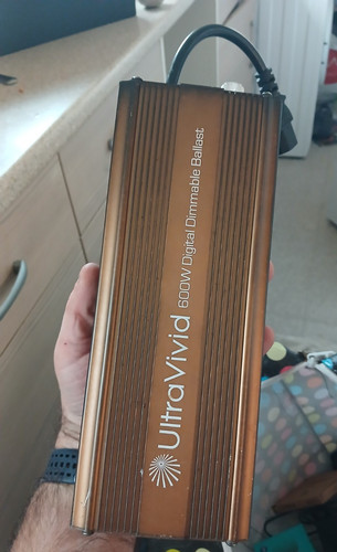 Ultravivid 600w digital - ultravivid,