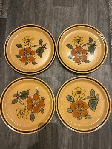 Piece 1970s large dinner - 4,