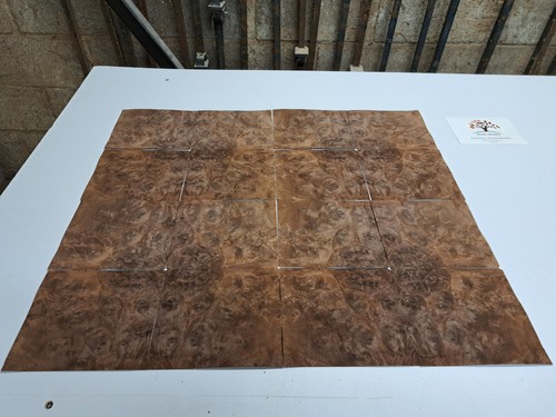 Burr walnut wood veneer - burr,