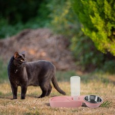 Pet Cage Food Dispenser Cat Dog Food Storage Bowl Adorable Cat Bowl Dog Food Fee