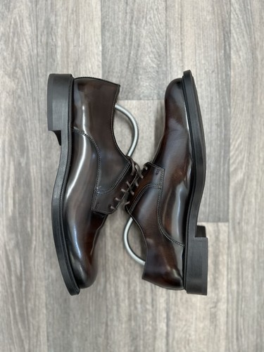 Zara limited edition - limited,
