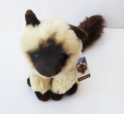 Siamese cat hand - siamese,