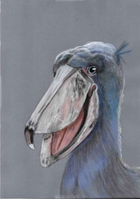 Original color pencil artwork