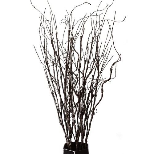 10pcs lifelike curly willow - 10pcs,