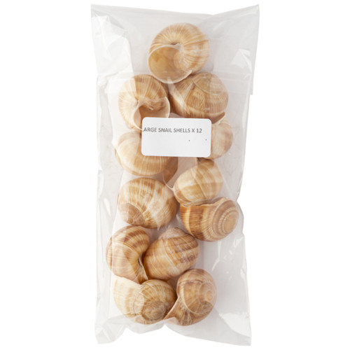 Sabarot snail shells helix - snail,