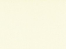 10 Sheets A4 Ivory Slightly Textured Card 310gsm NEW