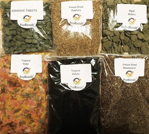 Aquarium fish food - aquarium, bloodworm