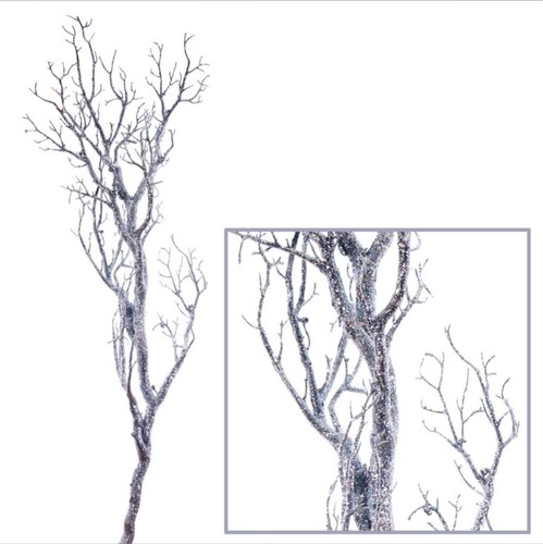 Manzanita glitter tree - manzanita,