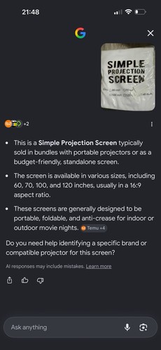 100in portable projection - portable,