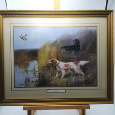 Duck Rising Framed Print by