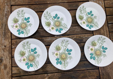 Vtg set 6 Hostess Hi Summer