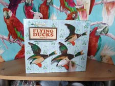 Paint Your Own 3 Flying Ducks