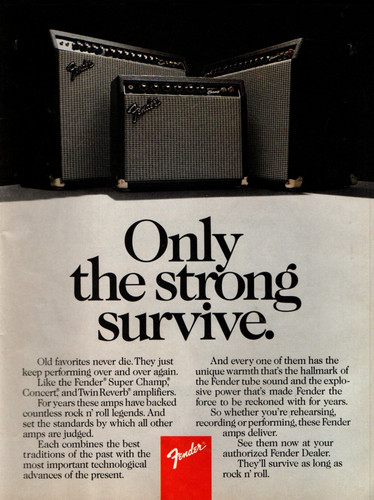 Vtg 80s fender amps - amps, magazine