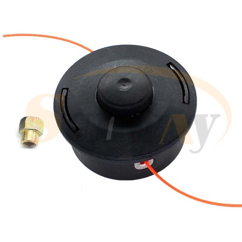 Strimmer head for - strimmer,