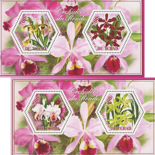 Orchid flower stamp - flower, bundle