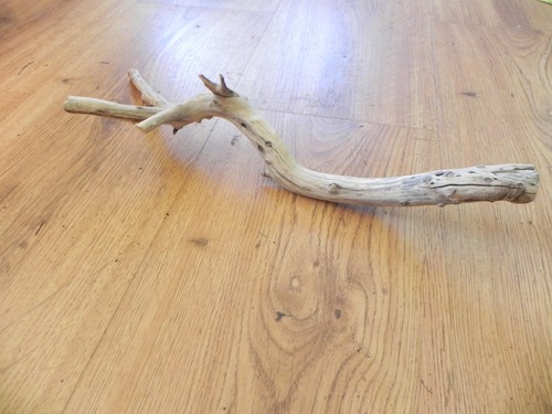 Manzanita driftwood branch - manzanita,