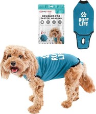 BellyGuard Recovery Suit for