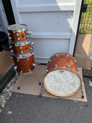 Natal maple copper sparkle - natal,
