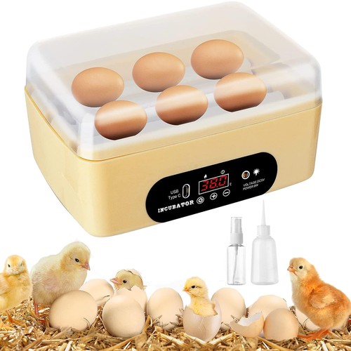 Egg incubators for - incubators, hatching