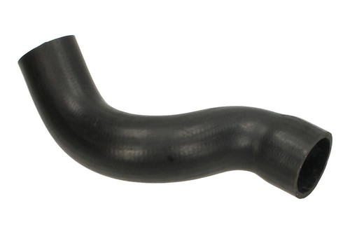 Transporter short nose - short,