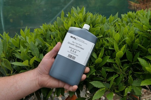 Premium m183 bay tree feed - m183,