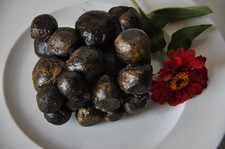 Fresh Raw Bee Propolis –