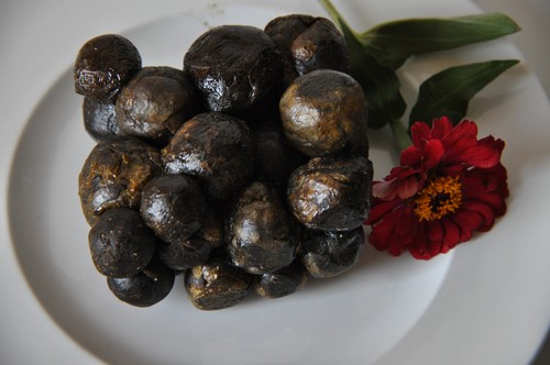 Fresh raw bee propolis - propolis, –