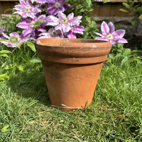 Vintage terracotta pot - vintage,