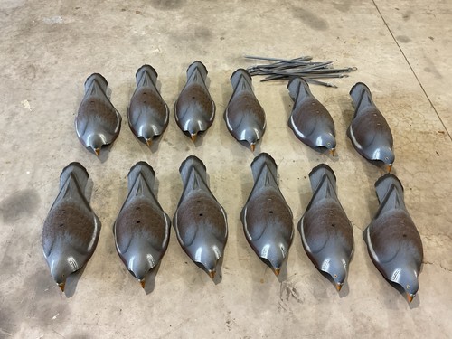 Shooting pigeon decoys half - pigeon,