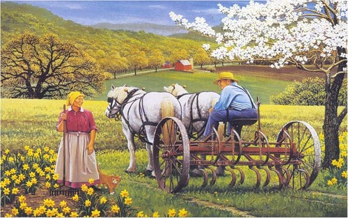 1000 piece jigsaw puzzle olde - puzzle,