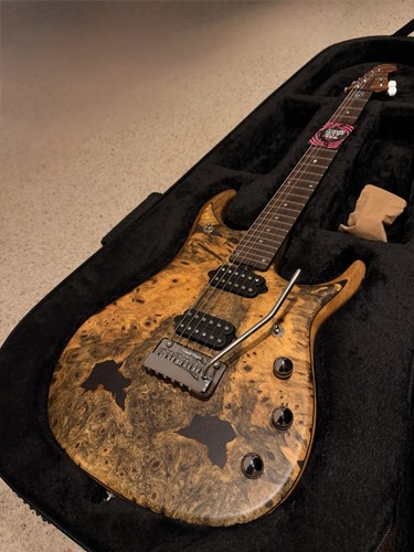 Ernie ball music man - music,